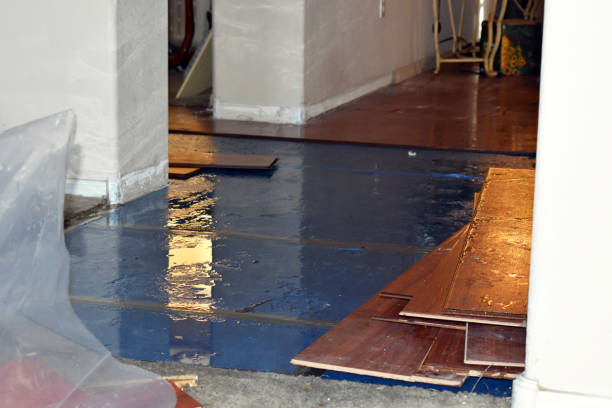 Professional Water Damage Restoration technician working in Dunellen, NJ